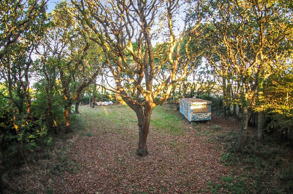 Property for Sale, Selsey 1 Park Copse, East Beach Baileys Estate Agent